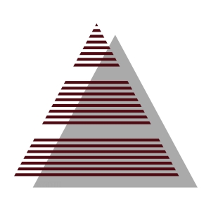 Karpus Investment Management