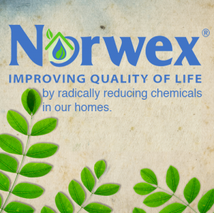 www.christinadye.norwex.net